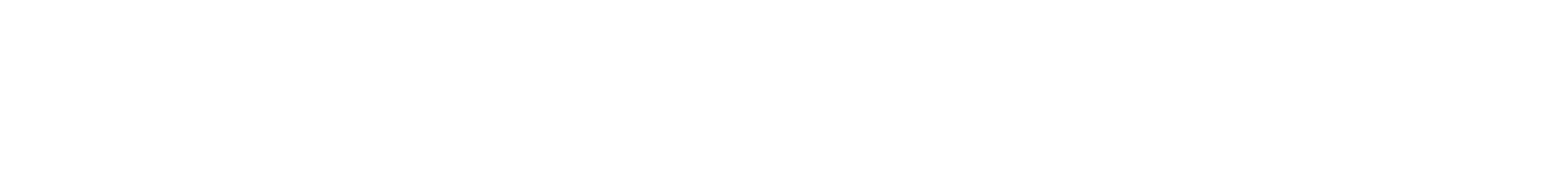 TRUE ESSENCE